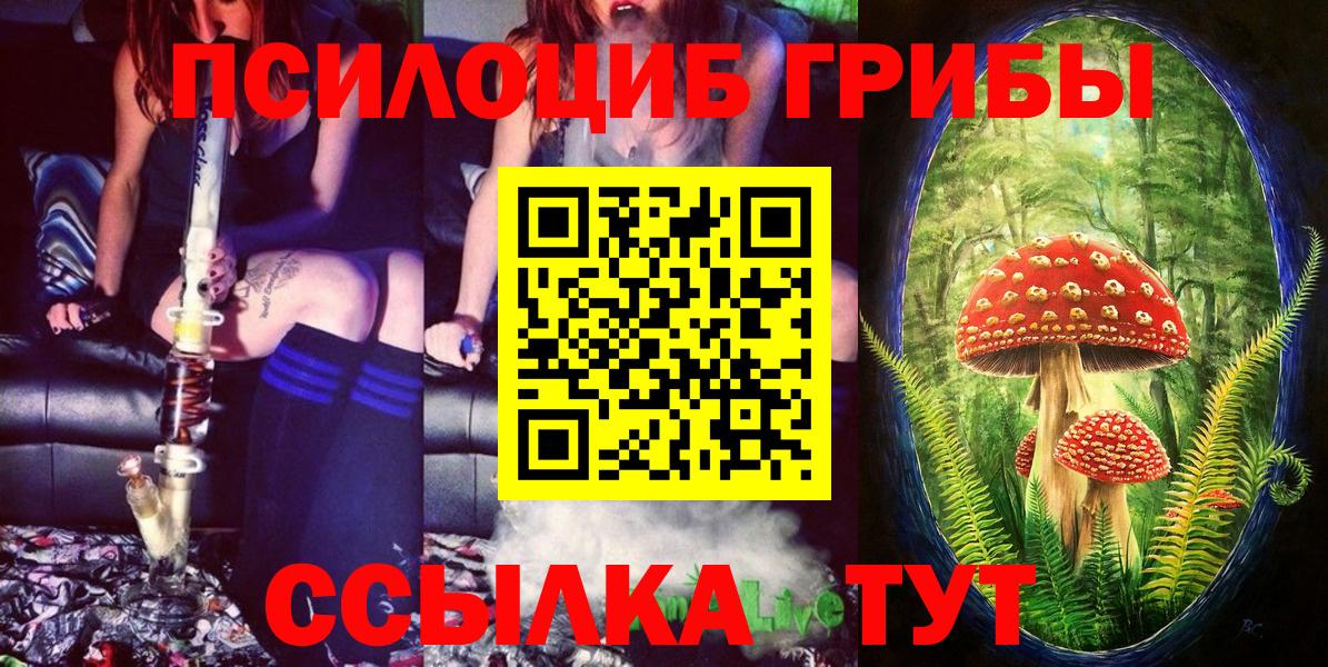 Галлюциногенные грибы прущие грибы Елабуга