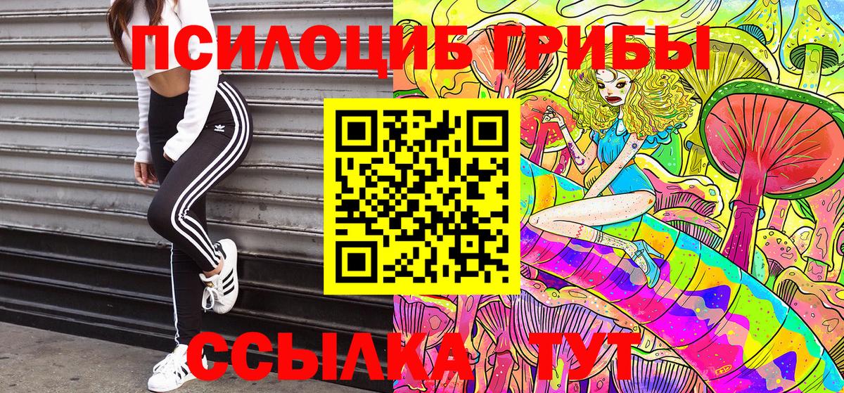 Елабуга  Псилоцибиновые грибы мухоморы  Вход с VPN 